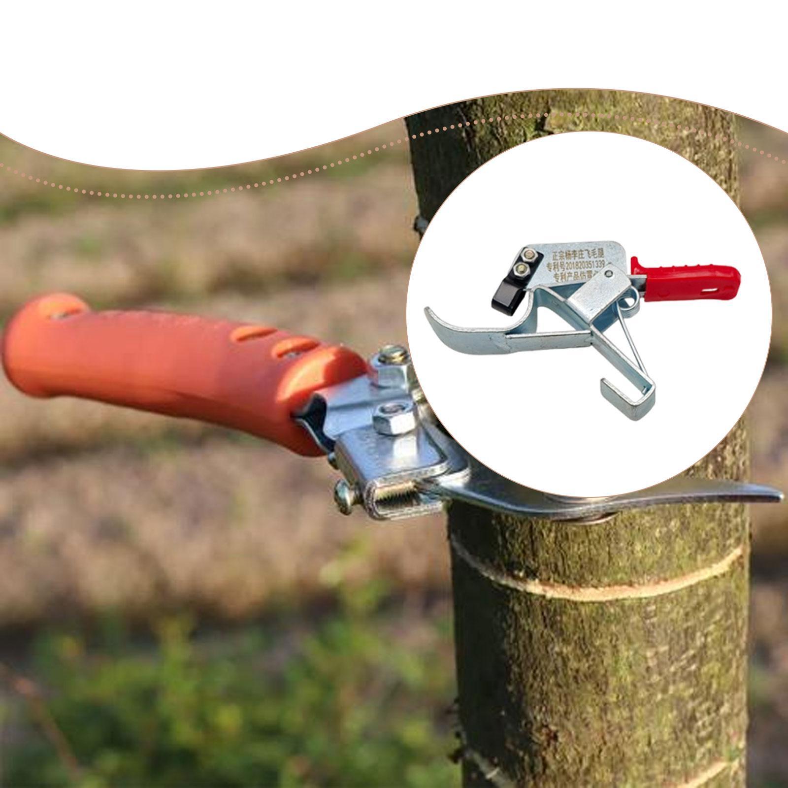 Gardening Tools Essential - Herramienta para Atar Árboles Frutales, Esencial,