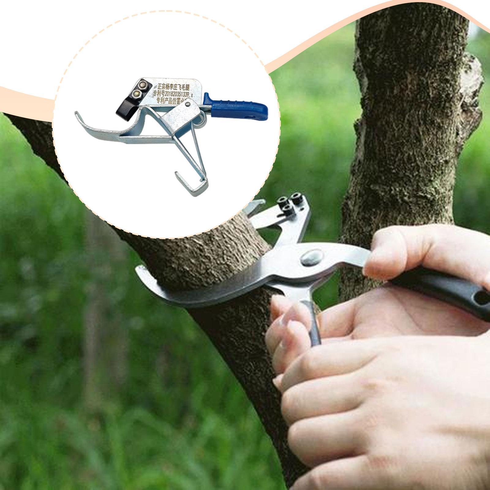 Herramienta para Atar Árboles  - Gardening Tools Essential reseña y precio