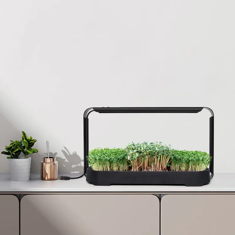 Sistema de Cultivo Hidropónico - Self-Watering Planter reseña y precio