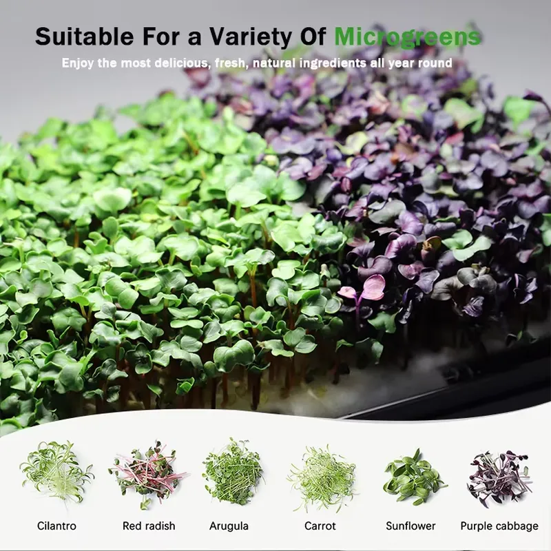 Sistema de Cultivo Hidropónico - Self-Watering Planter reseña y precio