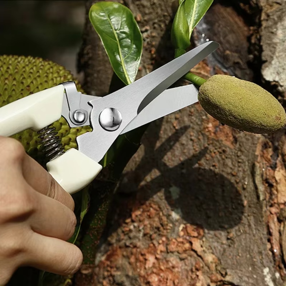 Cuchillo de poda profesional,  - Gardening Tools Essential reseña y precio