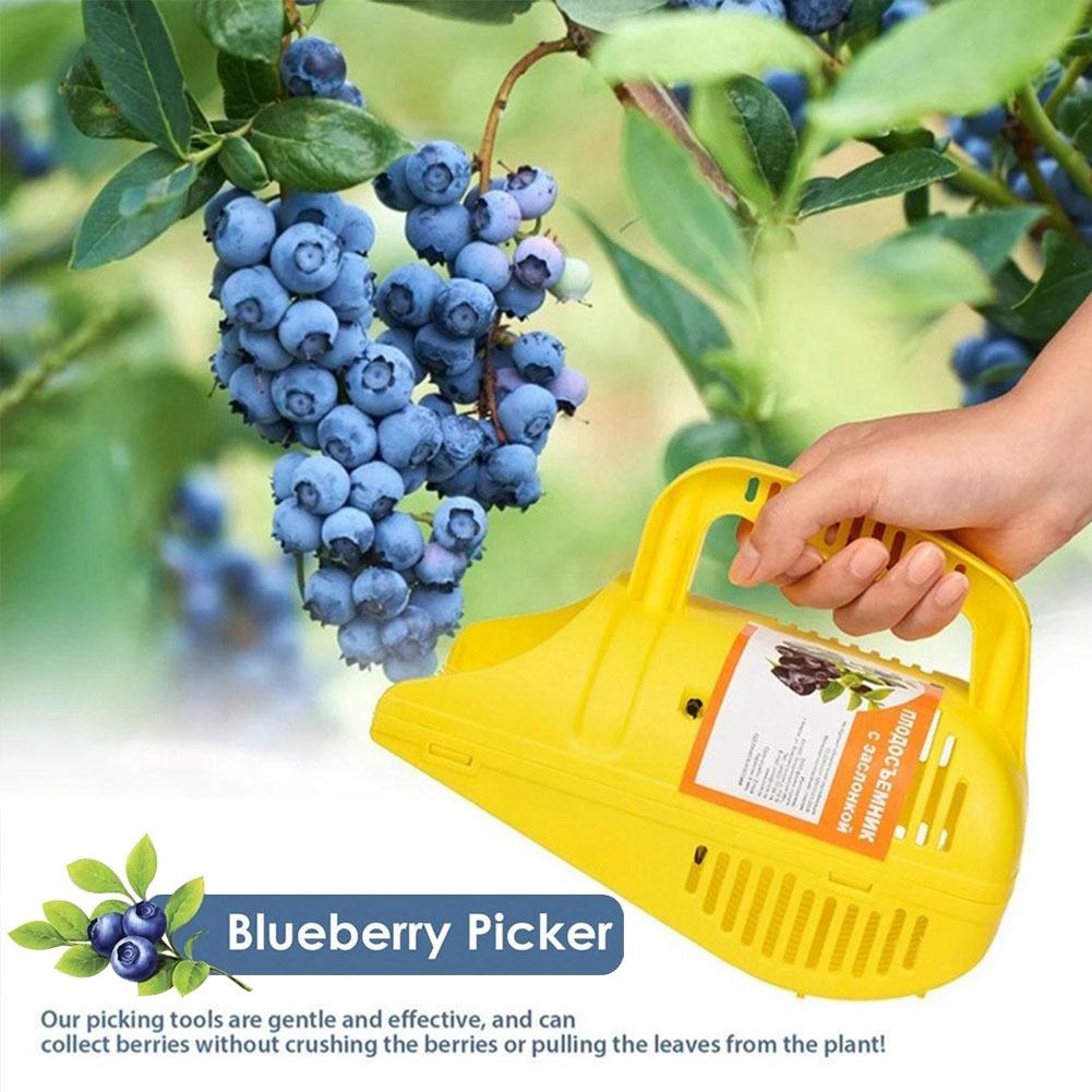 Herramienta para Recoger Aránd - Gardening Tools Must Haves reseña y precio