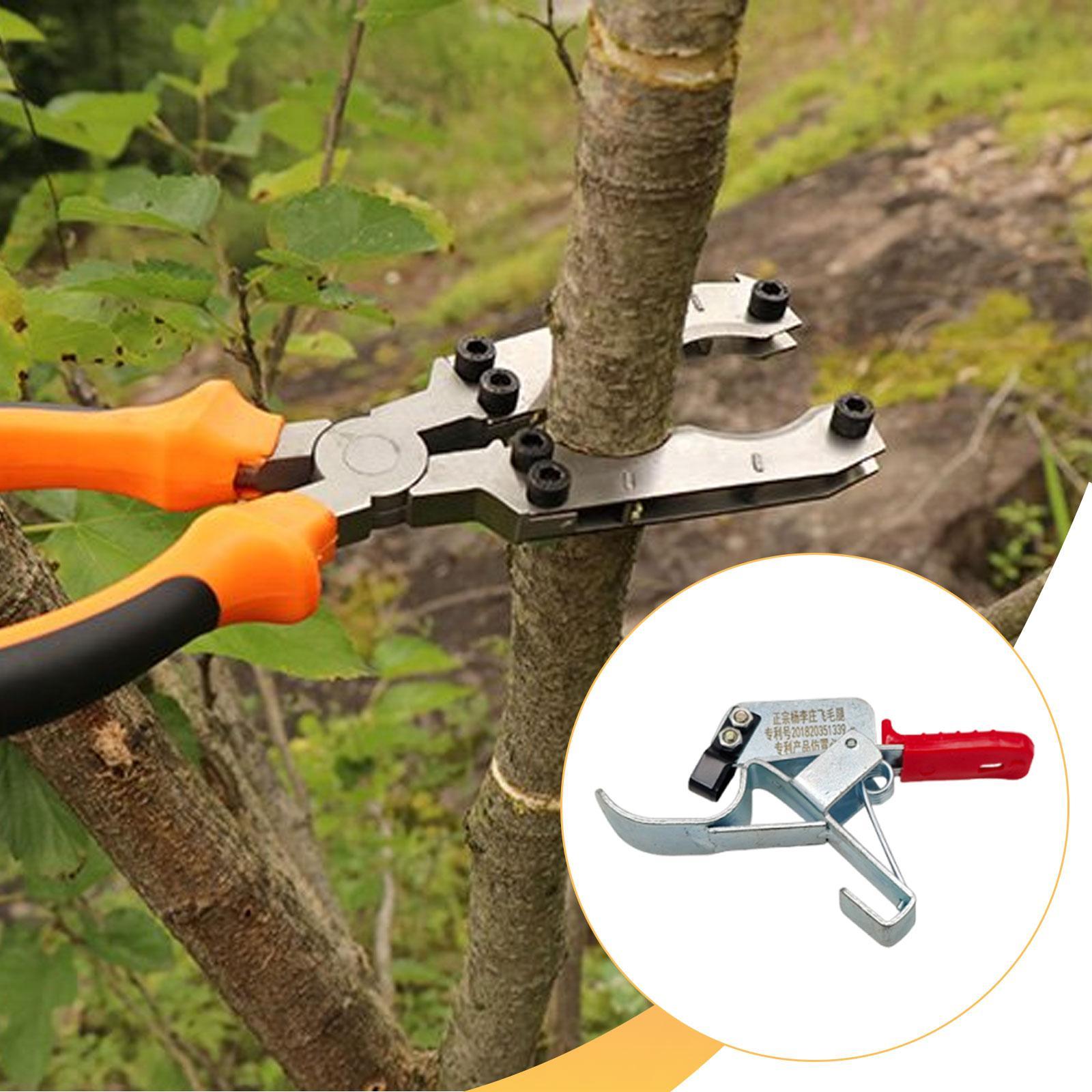 Herramienta para atar árboles  - Gardening Tools Essential reseña y precio