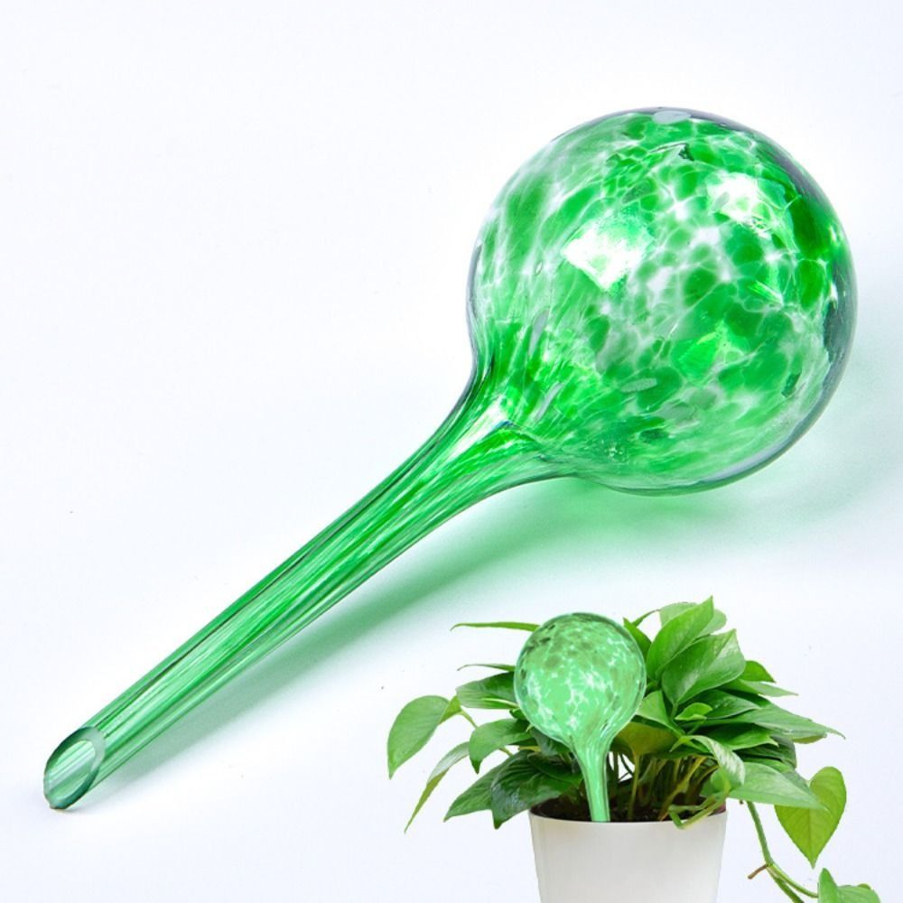 Bola de riego automática de pl - Automatic Plant Waterer reseña y precio
