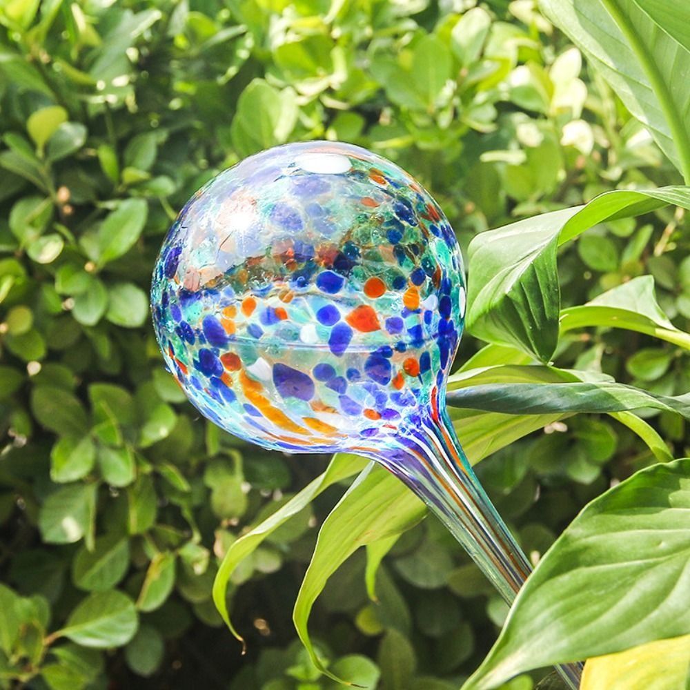 Bola de riego automática de pl - Automatic Plant Waterer reseña y precio