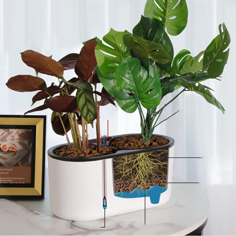 Planta de interior con indicad - Automatic Plant Waterer reseña y precio
