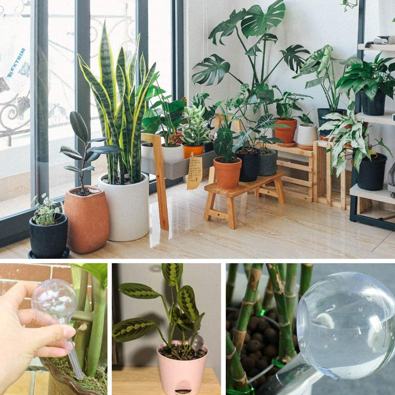 Bombillas de riego automático  - Automatic Plant Waterer reseña y precio
